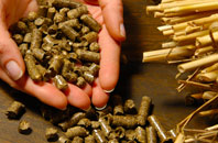 free Roborough biomass boiler quotes