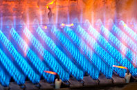 Roborough gas fired boilers